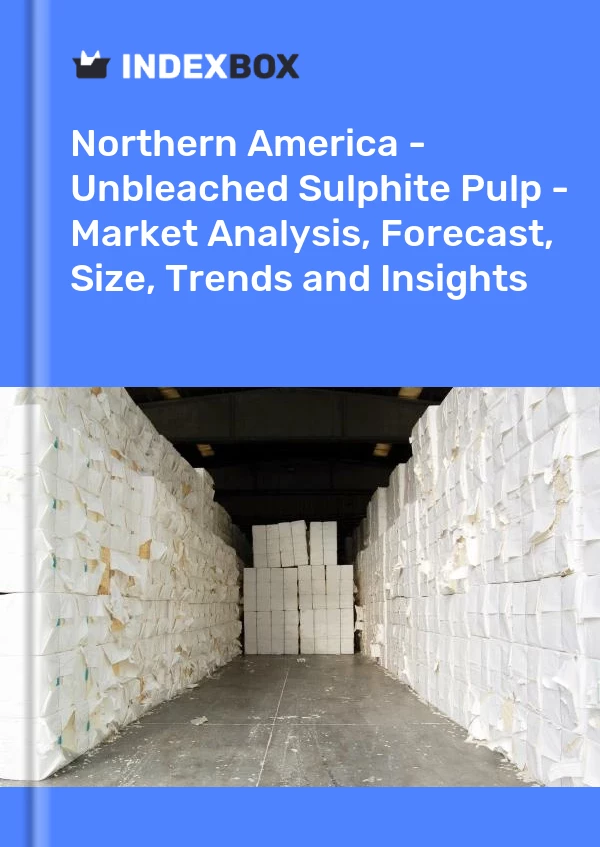 Report Northern America - Unbleached Sulphite Pulp - Market Analysis, Forecast, Size, Trends and Insights for 499$