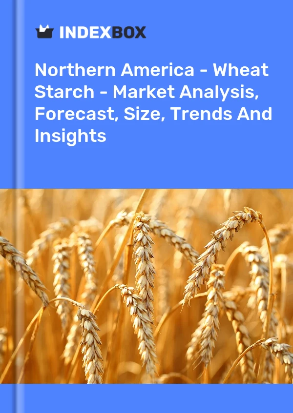 Report Northern America - Wheat Starch - Market Analysis, Forecast, Size, Trends and Insights for 499$