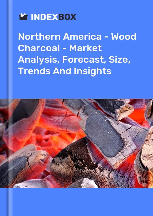 Report Northern America - Wood Charcoal - Market Analysis, Forecast, Size, Trends and Insights for 499$