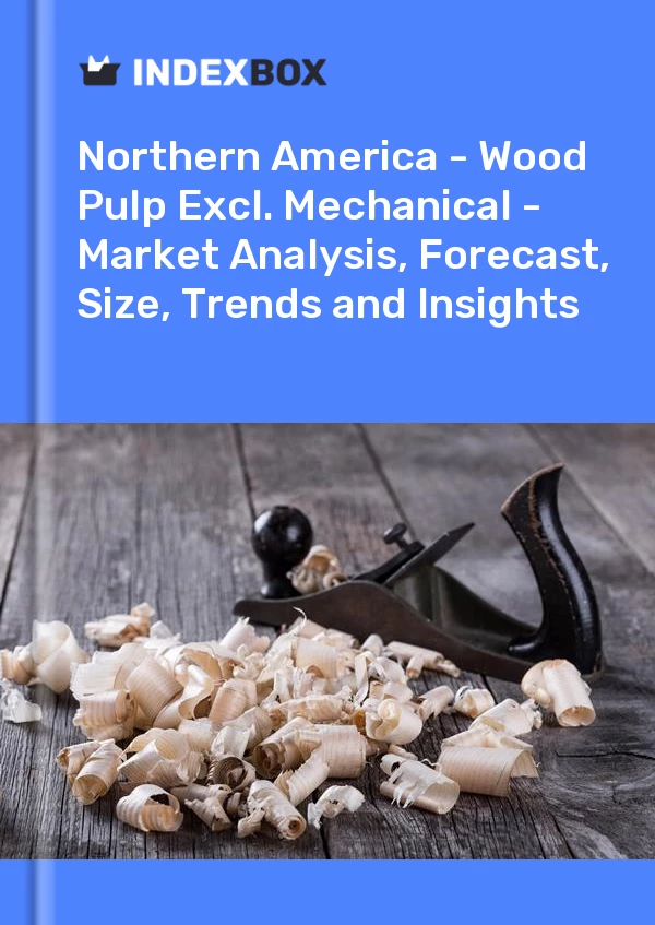 Report Northern America - Wood Pulp Excl. Mechanical - Market Analysis, Forecast, Size, Trends and Insights for 499$