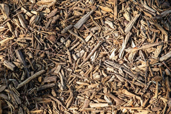 World Best Import Markets for Wood Residues, Pellets and Other Agglomerates