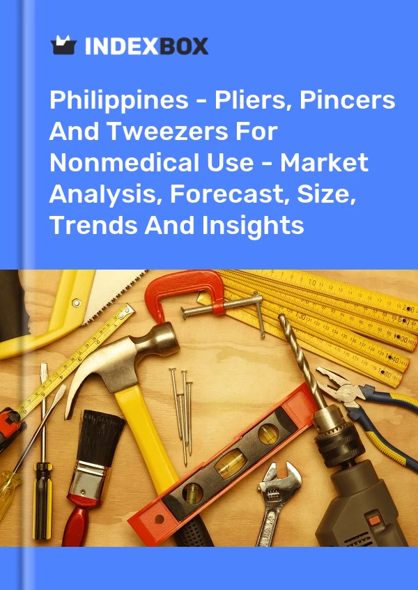 Report Philippines - Pliers, Pincers and Tweezers for Nonmedical Use - Market Analysis, Forecast, Size, Trends and Insights for 499$