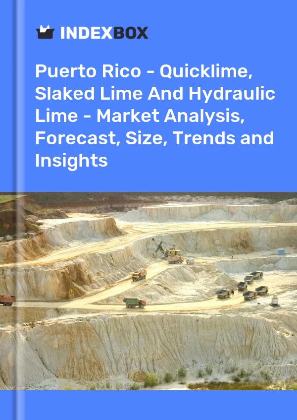 Report Puerto Rico - Quicklime, Slaked Lime and Hydraulic Lime - Market Analysis, Forecast, Size, Trends and Insights for 499$