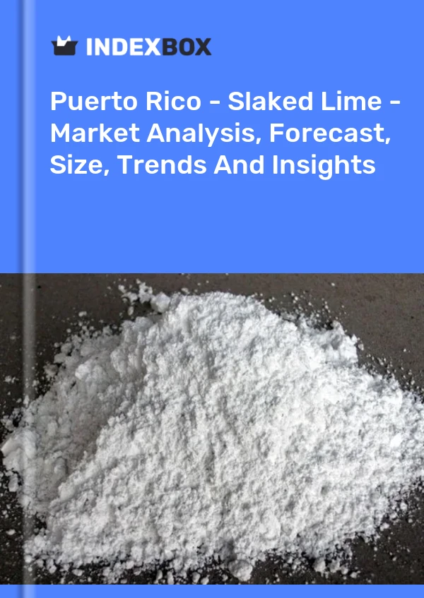 Report Puerto Rico - Slaked Lime - Market Analysis, Forecast, Size, Trends and Insights for 499$