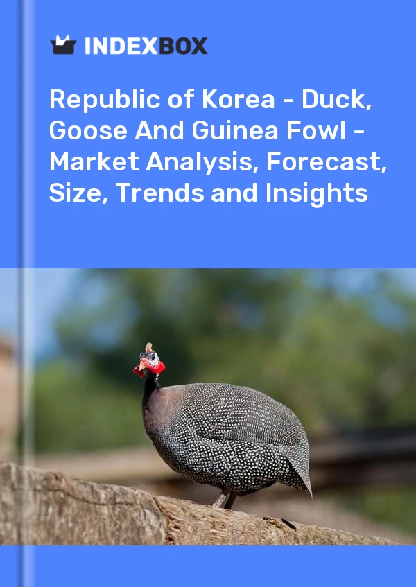 Report Republic of Korea - Duck, Goose and Guinea Fowl - Market Analysis, Forecast, Size, Trends and Insights for 499$