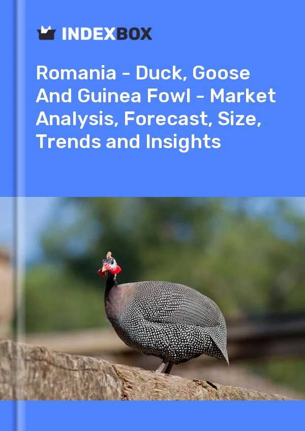 Report Romania - Duck, Goose and Guinea Fowl - Market Analysis, Forecast, Size, Trends and Insights for 499$