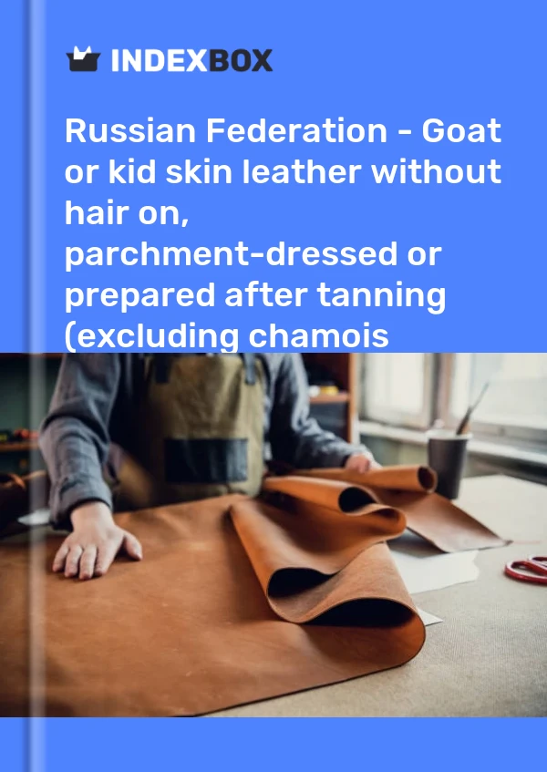 Report Russian Federation - Goat or kid skin leather without hair on, parchment-dressed or prepared after tanning (excluding chamois leather, patent leather, patent laminated leather and metallised leather) - Market Analysis, Forecast, Size, Trends and Insights for 499$