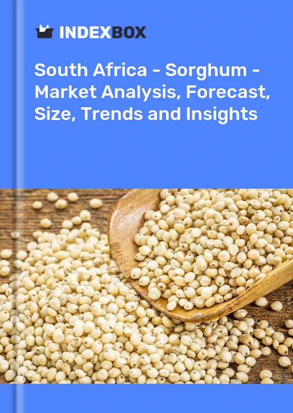 Report South Africa - Sorghum - Market Analysis, Forecast, Size, Trends and Insights for 499$