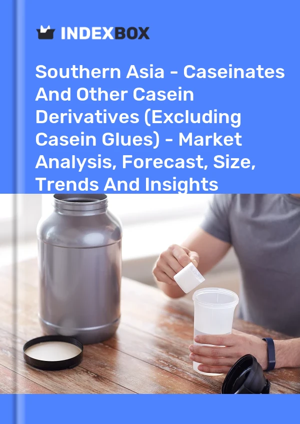 Report Southern Asia - Caseinates and Other Casein Derivatives (Excluding Casein Glues) - Market Analysis, Forecast, Size, Trends and Insights for 499$
