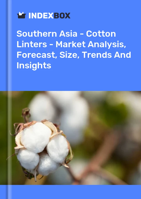 Report Southern Asia - Cotton Linters - Market Analysis, Forecast, Size, Trends and Insights for 499$