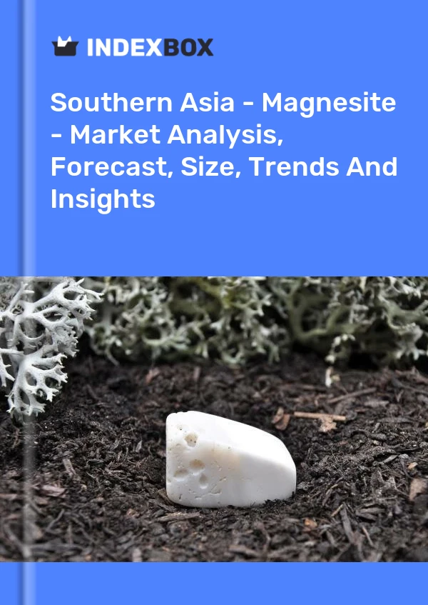Report Southern Asia - Magnesite - Market Analysis, Forecast, Size, Trends and Insights for 499$