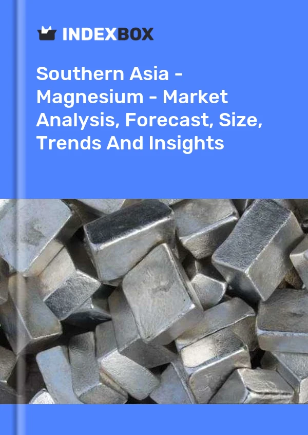 Report Southern Asia - Magnesium - Market Analysis, Forecast, Size, Trends and Insights for 499$