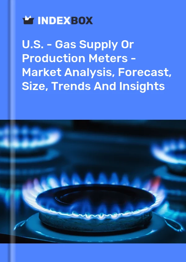 Report U.S. - Gas Supply or Production Meters - Market Analysis, Forecast, Size, Trends and Insights for 499$