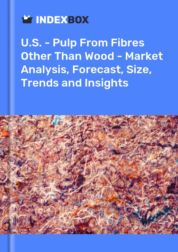 Report U.S. - Pulp From Fibres Other Than Wood - Market Analysis, Forecast, Size, Trends and Insights for 499$