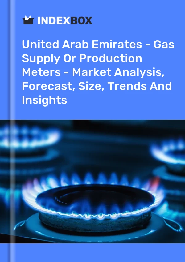 Report United Arab Emirates - Gas Supply or Production Meters - Market Analysis, Forecast, Size, Trends and Insights for 499$