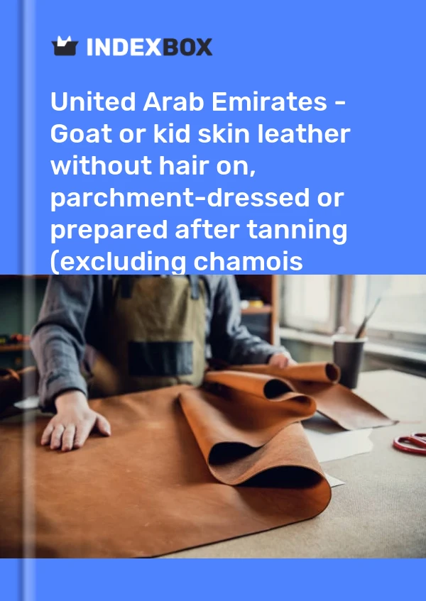 Report United Arab Emirates - Goat or kid skin leather without hair on, parchment-dressed or prepared after tanning (excluding chamois leather, patent leather, patent laminated leather and metallised leather) - Market Analysis, Forecast, Size, Trends and Insight for 499$