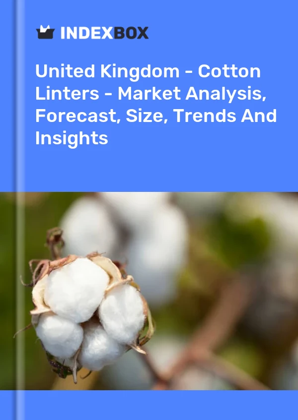 United Kingdom - Cotton Linters - Market Analysis, Forecast, Size, Trends And Insights
