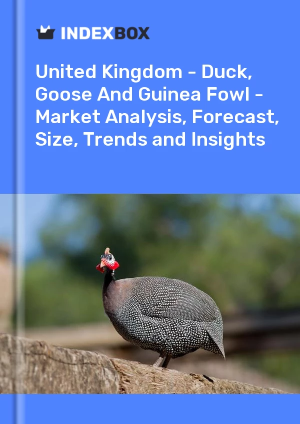 Report United Kingdom - Duck, Goose and Guinea Fowl - Market Analysis, Forecast, Size, Trends and Insights for 499$