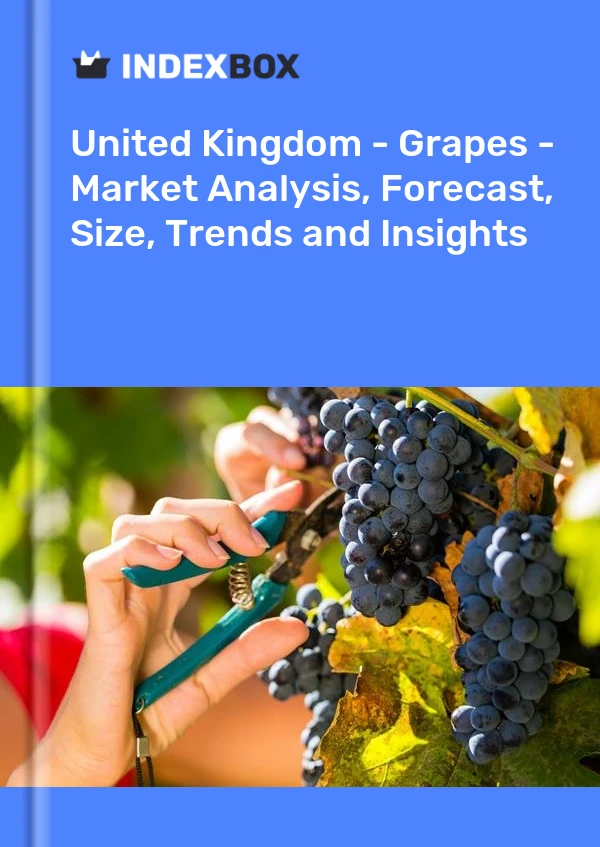 Report United Kingdom - Grapes - Market Analysis, Forecast, Size, Trends and Insights for 499$