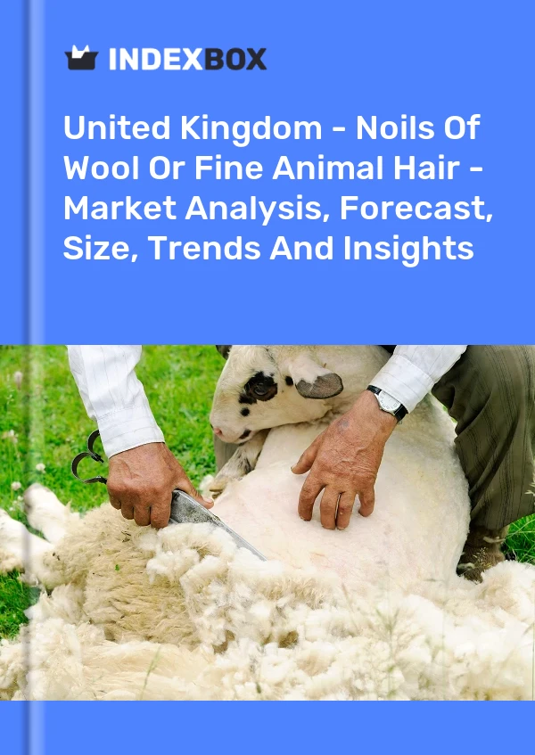 United Kingdom - Noils Of Wool Or Fine Animal Hair - Market Analysis, Forecast, Size, Trends And Insights